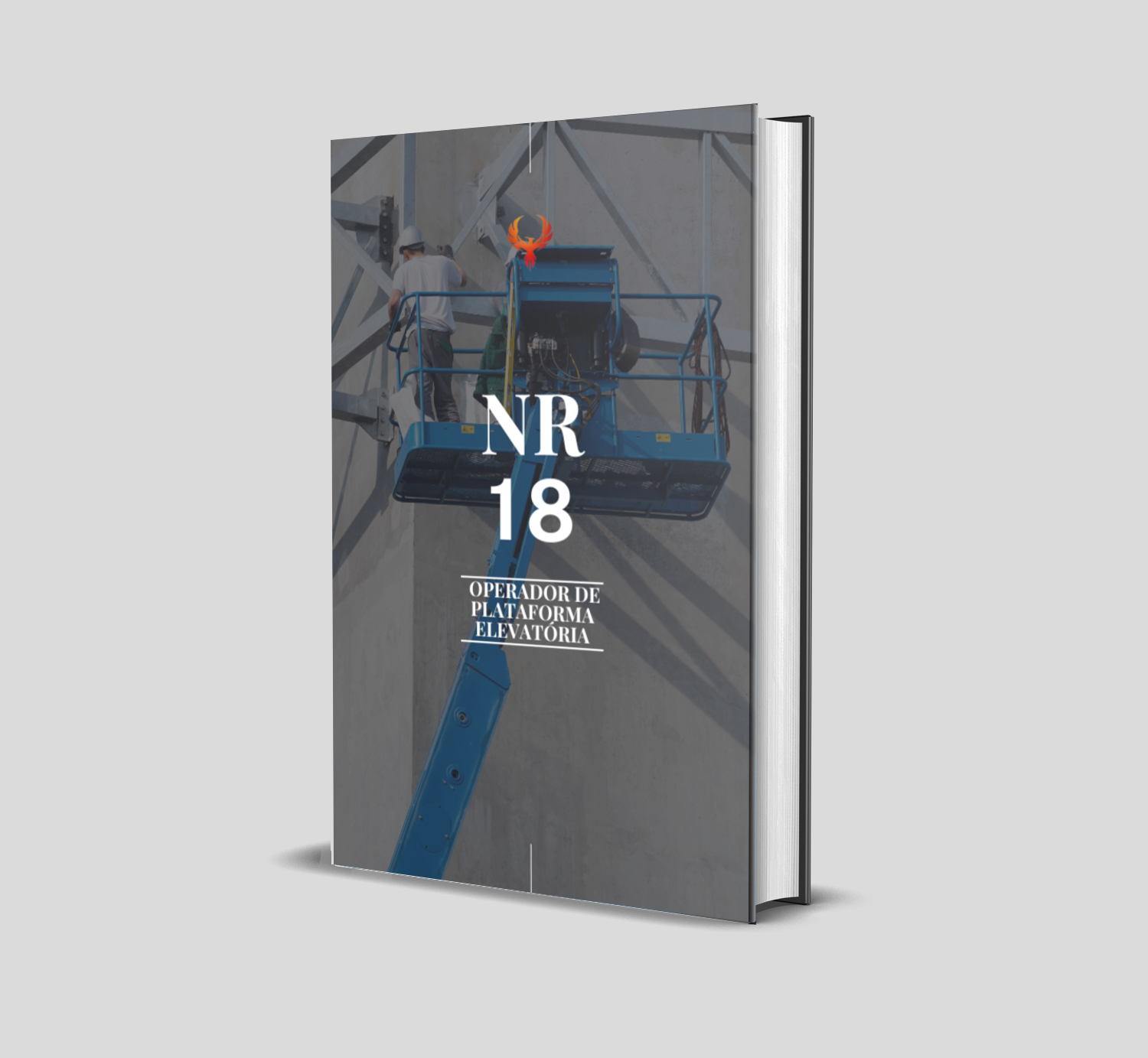 Curso de NR 18 - Operador de Plataforma Elevatória