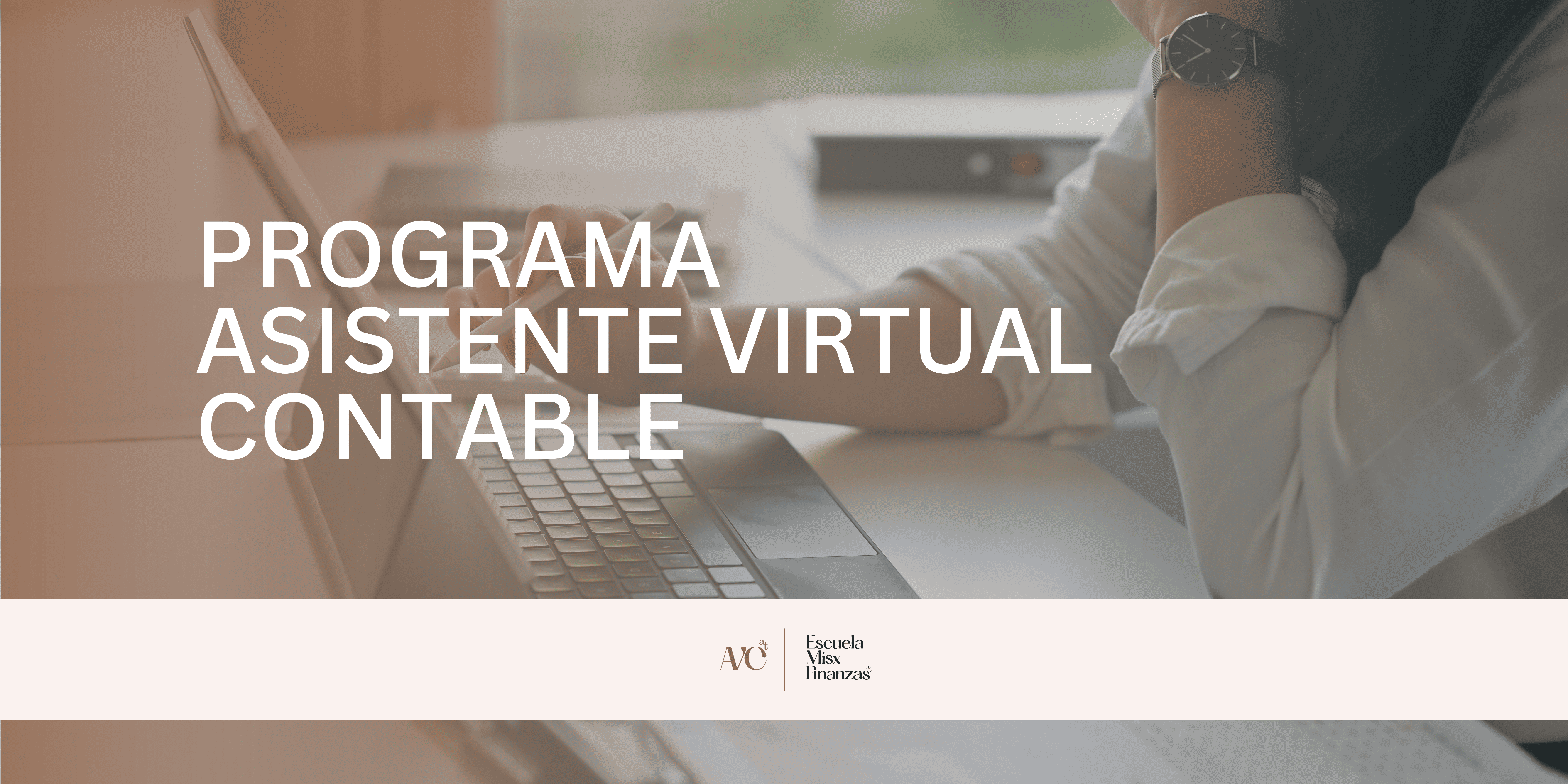 Programa Asistente Virtual Contable - Ana María García Trenza | Hot...
