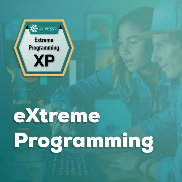 Program Rt Extreme Extreme Programming