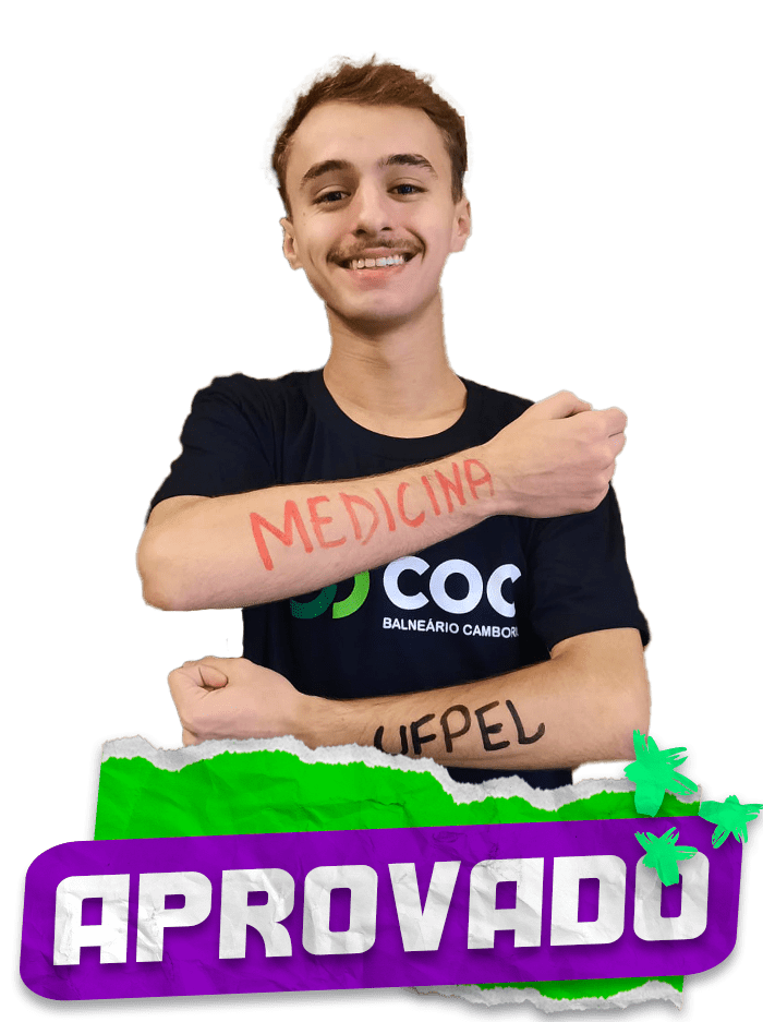 MENTORIA AVULSA 2024 mentoria-avulsa-2024