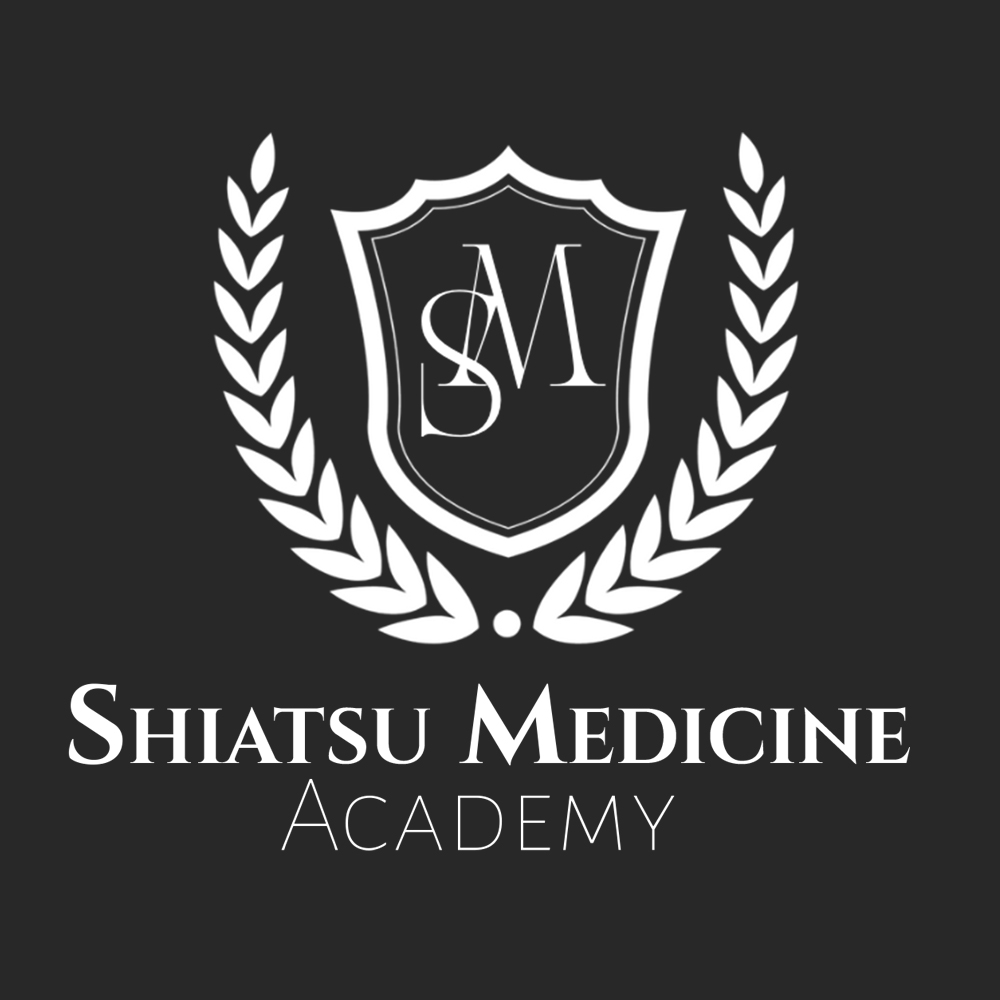 Master Shiatsu Medicina - Bárbara Couto - Shiatsu Medicina | Hotmart