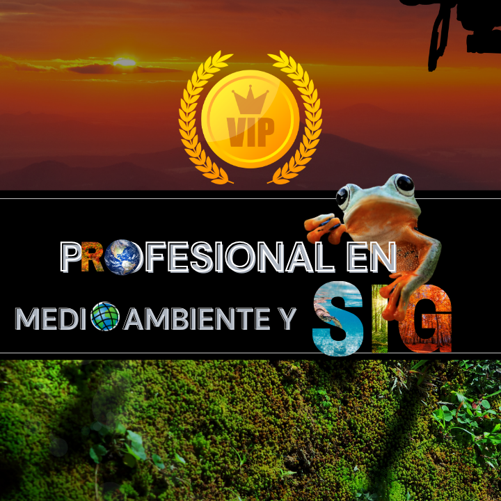 CURSO EN ARCGIS PRO Y DESKTOP (BÁSICO, INTERMEDIO Y AVANZADO)