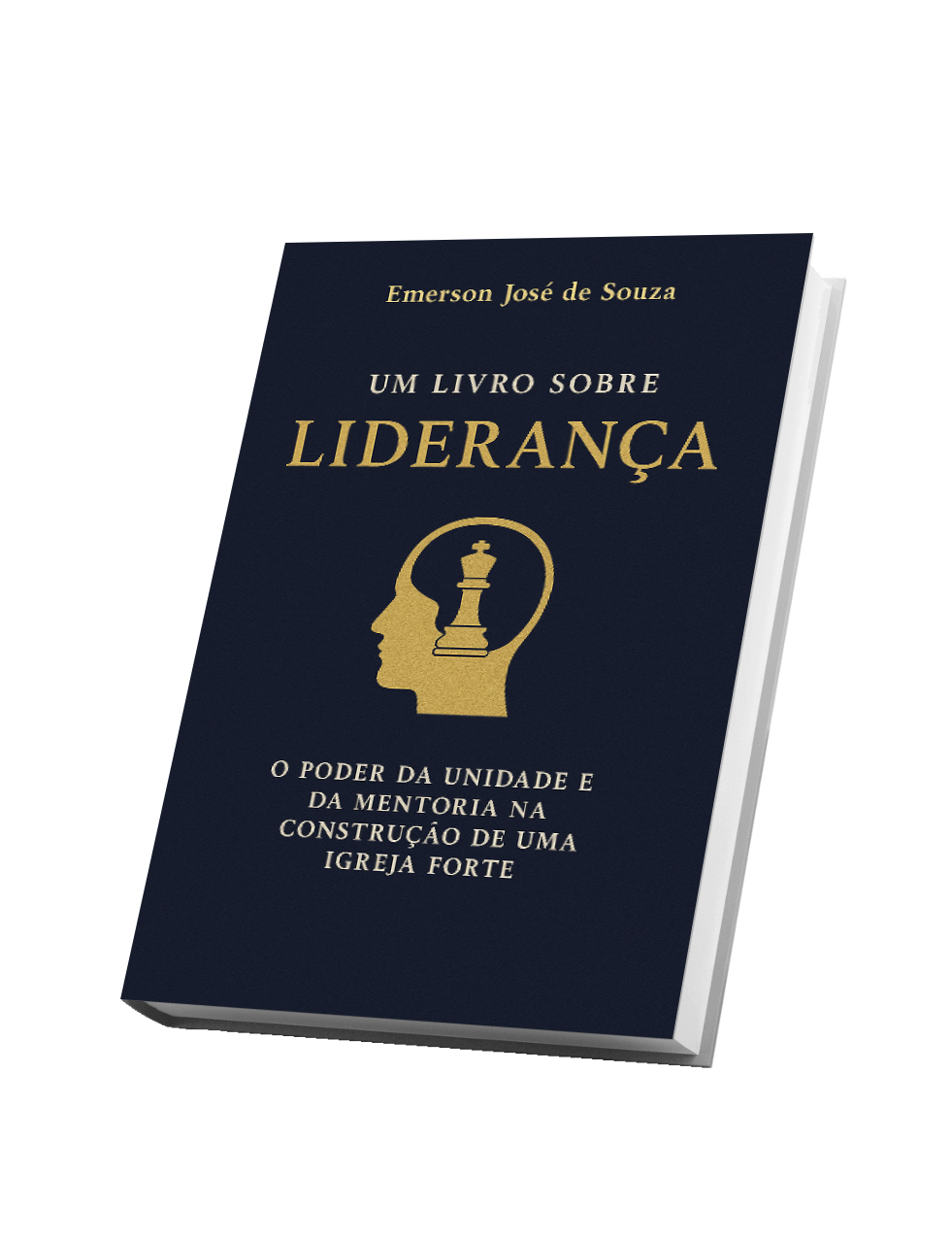 UM LIVRO SOBRE LIDERANÇA O Poder da Unidade e Mentoria na Construção de uma Igreja Forte