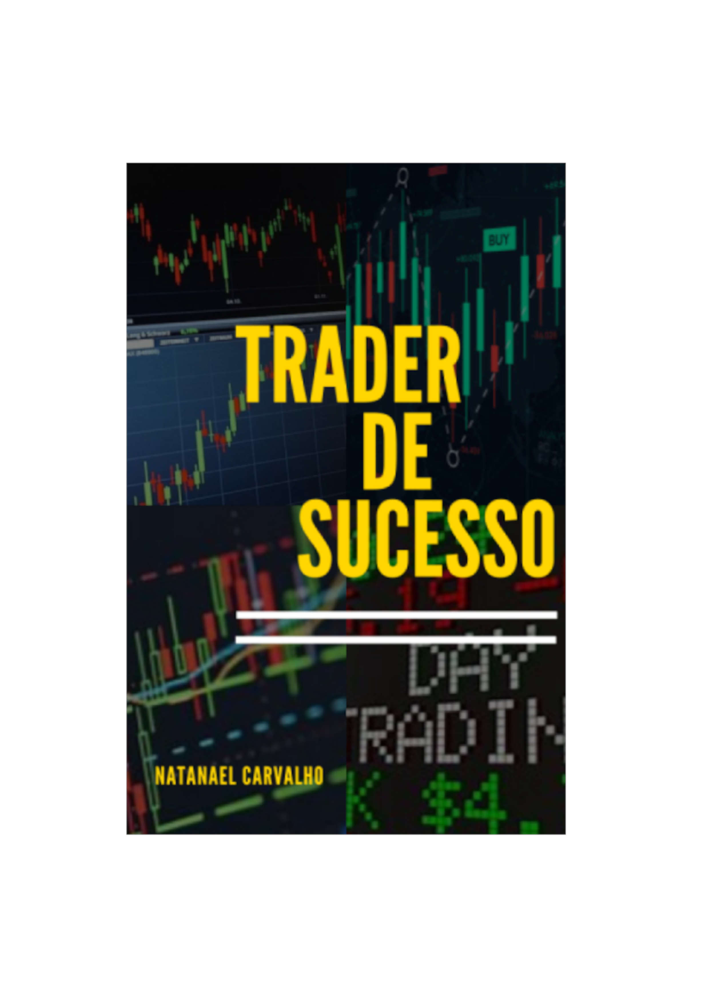 Ebook Trader de Sucesso