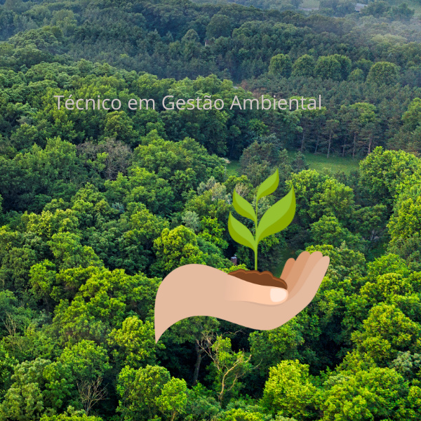 Técnico Em Gestão Ambiental