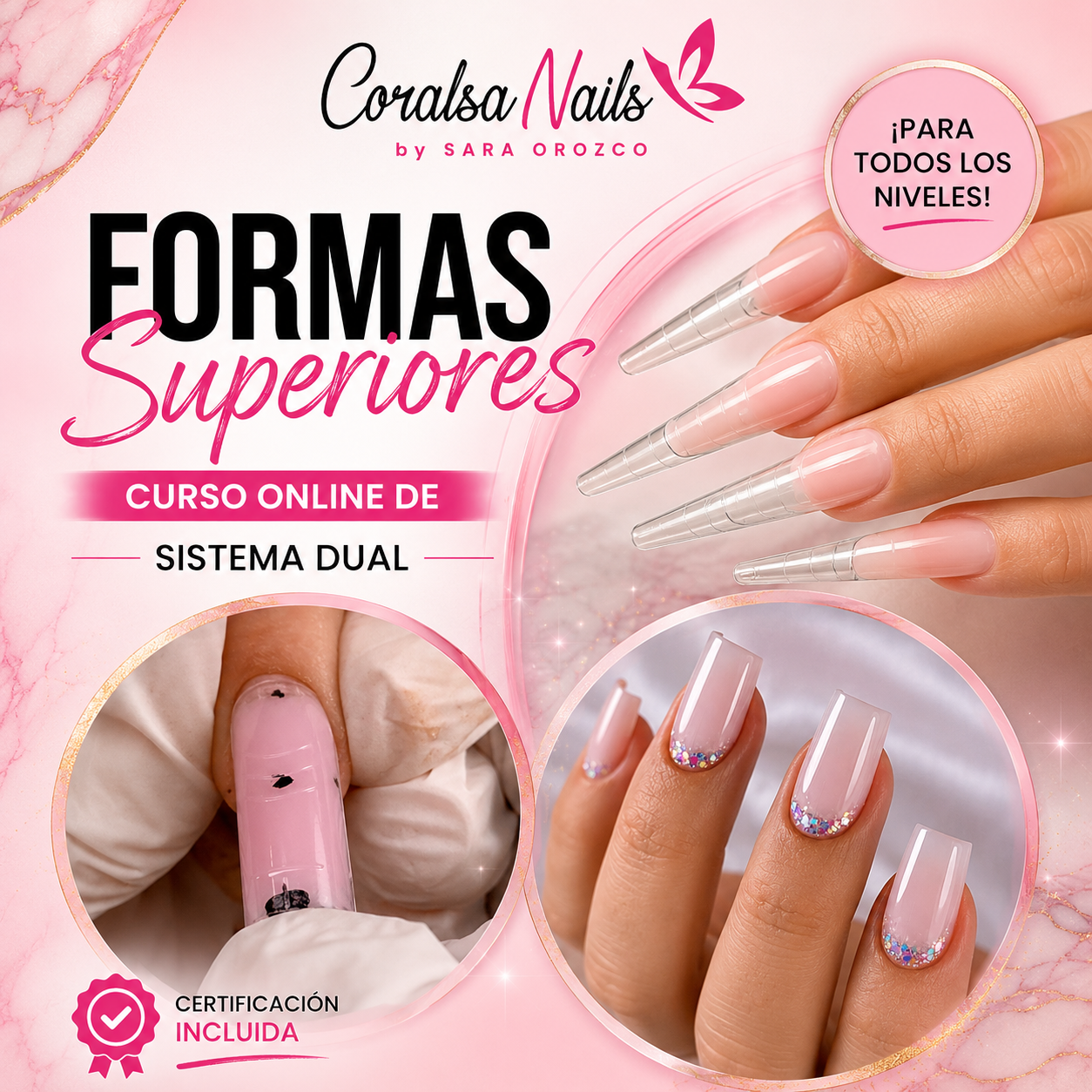 Formación Formas Superiores Método Profesional de Sistema Dual