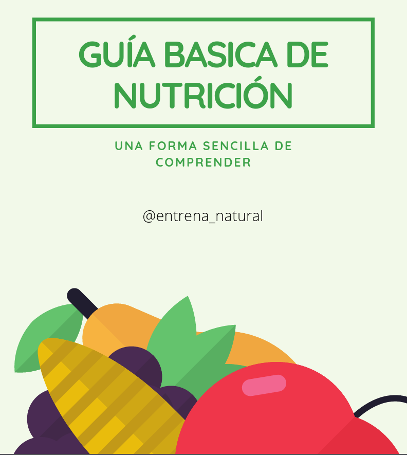 Guía de Nutrición Básica: Fundamentos para una Vida Saludable