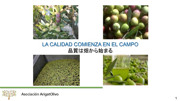 Imagen de portada para Curso online 5. Aceite de Oliva ( Del olivo al aceite. Parte I Proceso de campo )