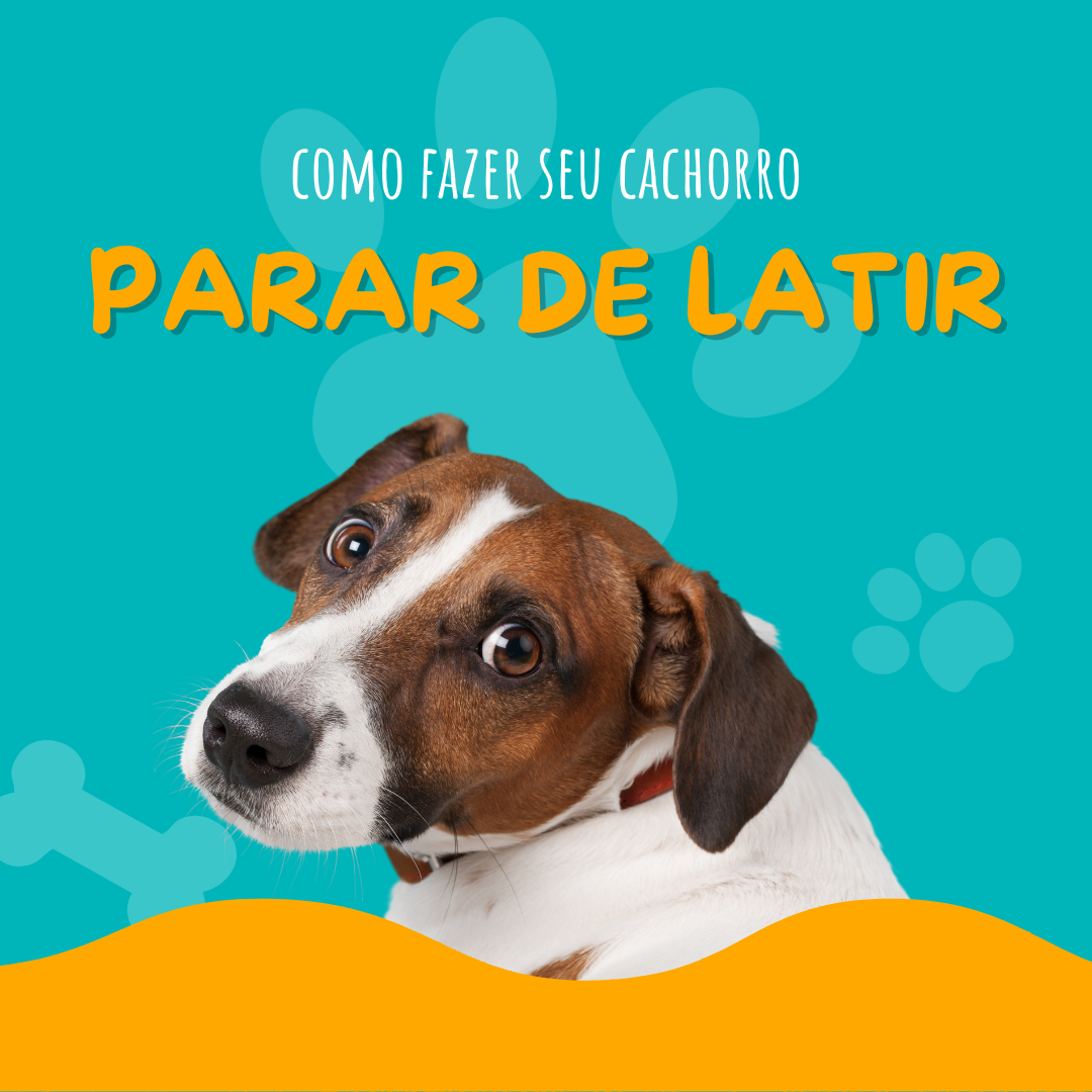 Como fazer seu cachorro parar de latir