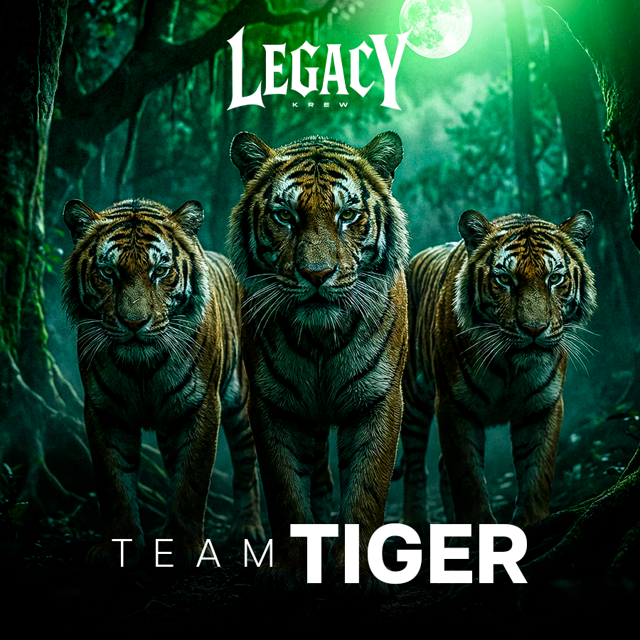 Team Tiger Loop Team Tiger | Hotmart