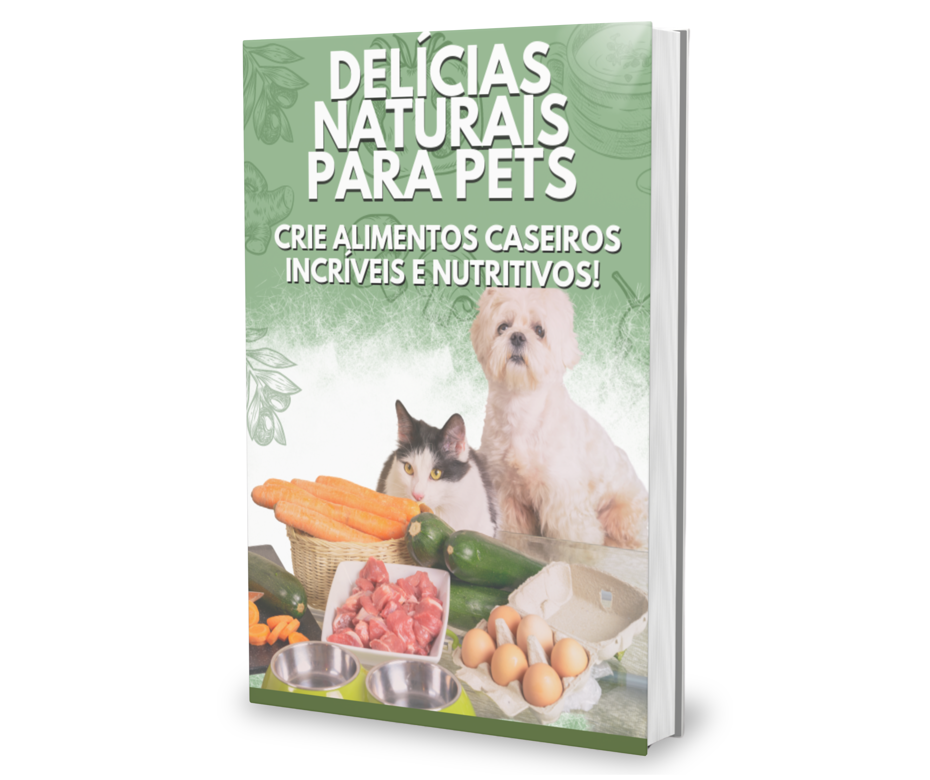 Imagem de capa para o Curso online Comida caseira para pet