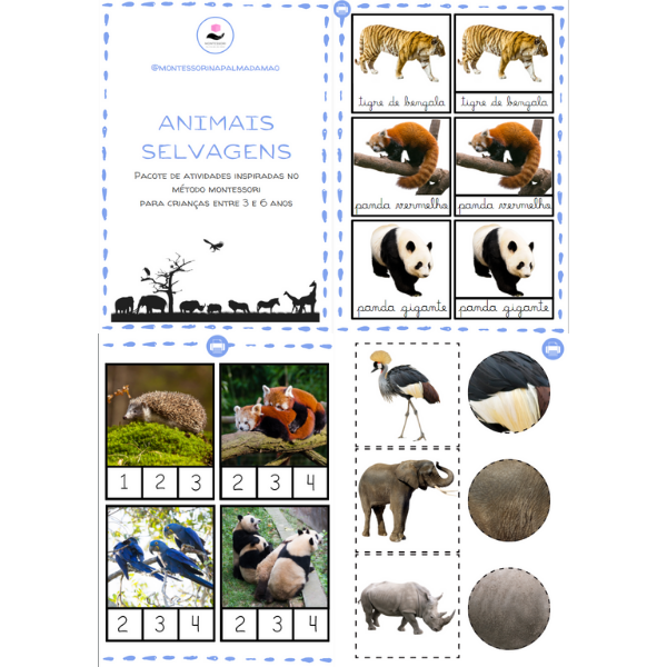 Pacote de atividades: Animais Selvagens - Montessori na palma da mã...