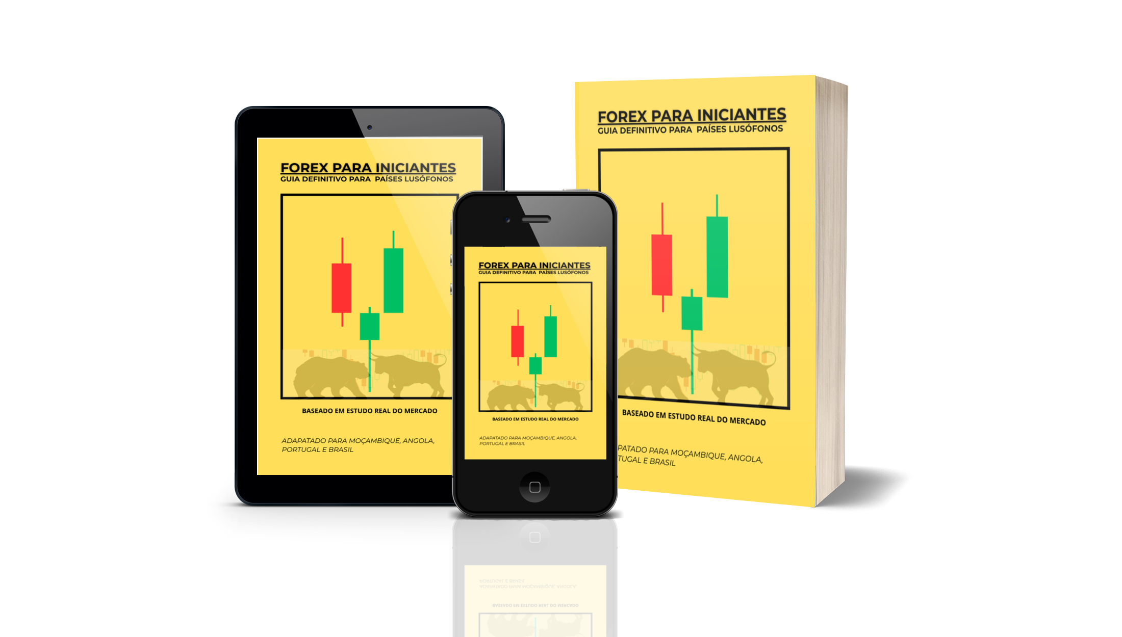 FOREX PARA INICIANTES E GUIA DE 16 AULAS