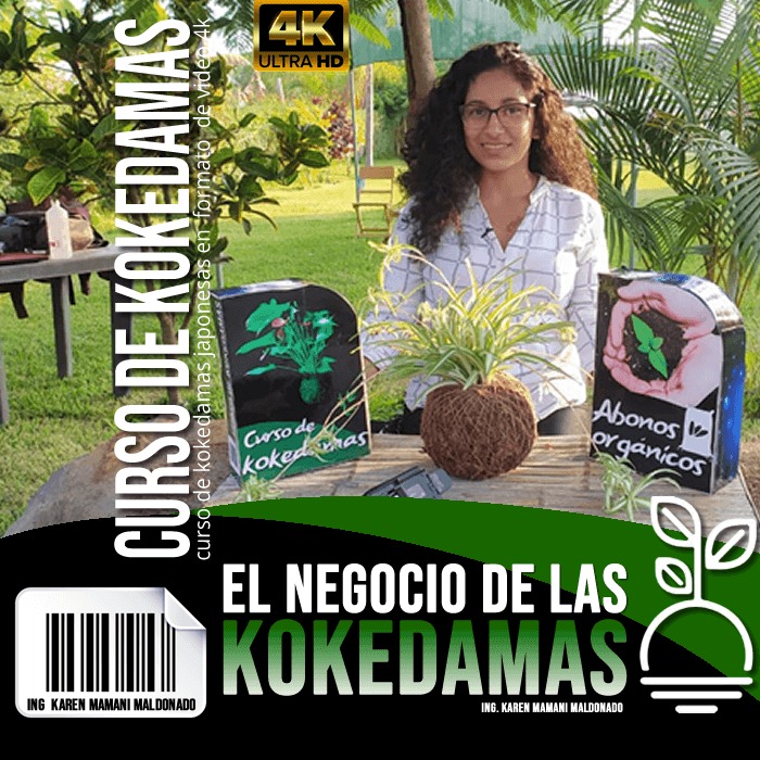 CURSO DE KOKEDAMA