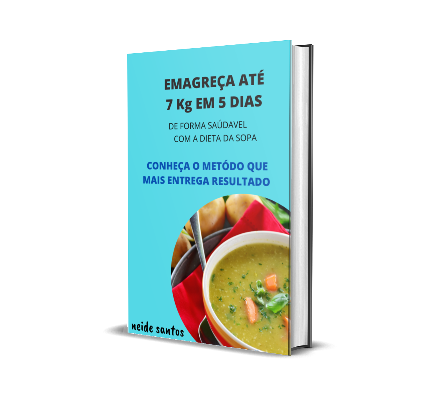 emagre-a-at-7-kg-em-5-dias-neide-hotmart