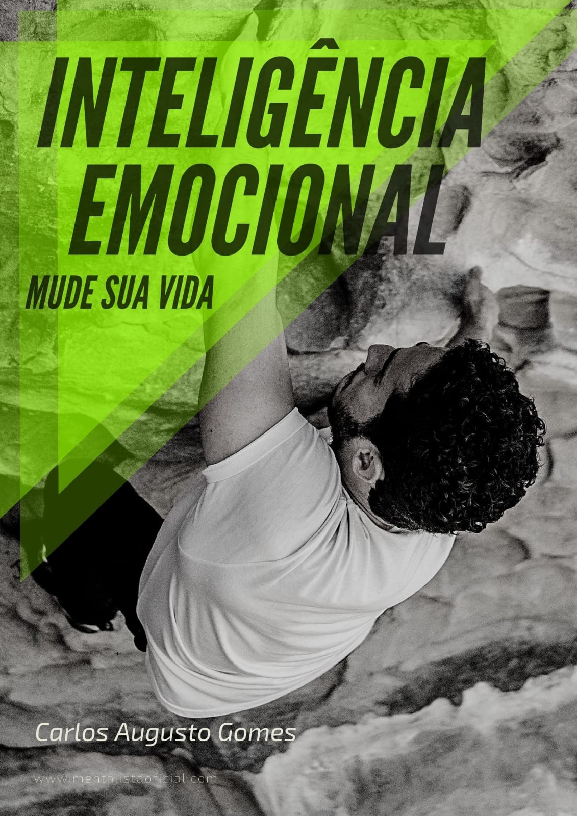 INTELIGÊNCIA EMOCIONAL Mude sua vida