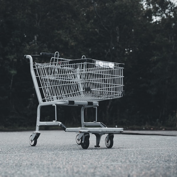 Formação de Compradores: Estratégias para o Sucesso Profissional