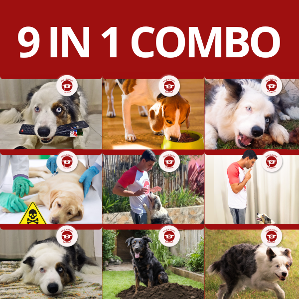 9-in-1-combo-dog-training-manual