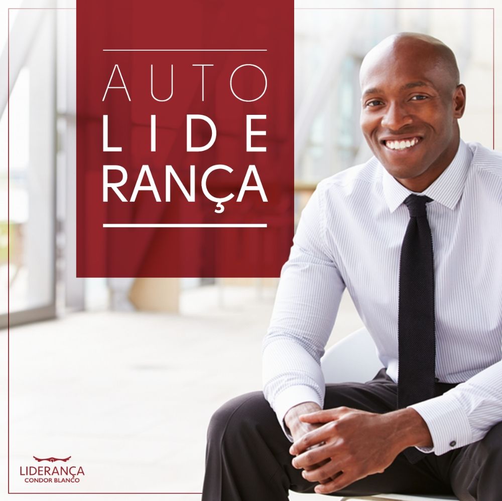Imagem de capa para o Curso online Condor Blanco Liderança