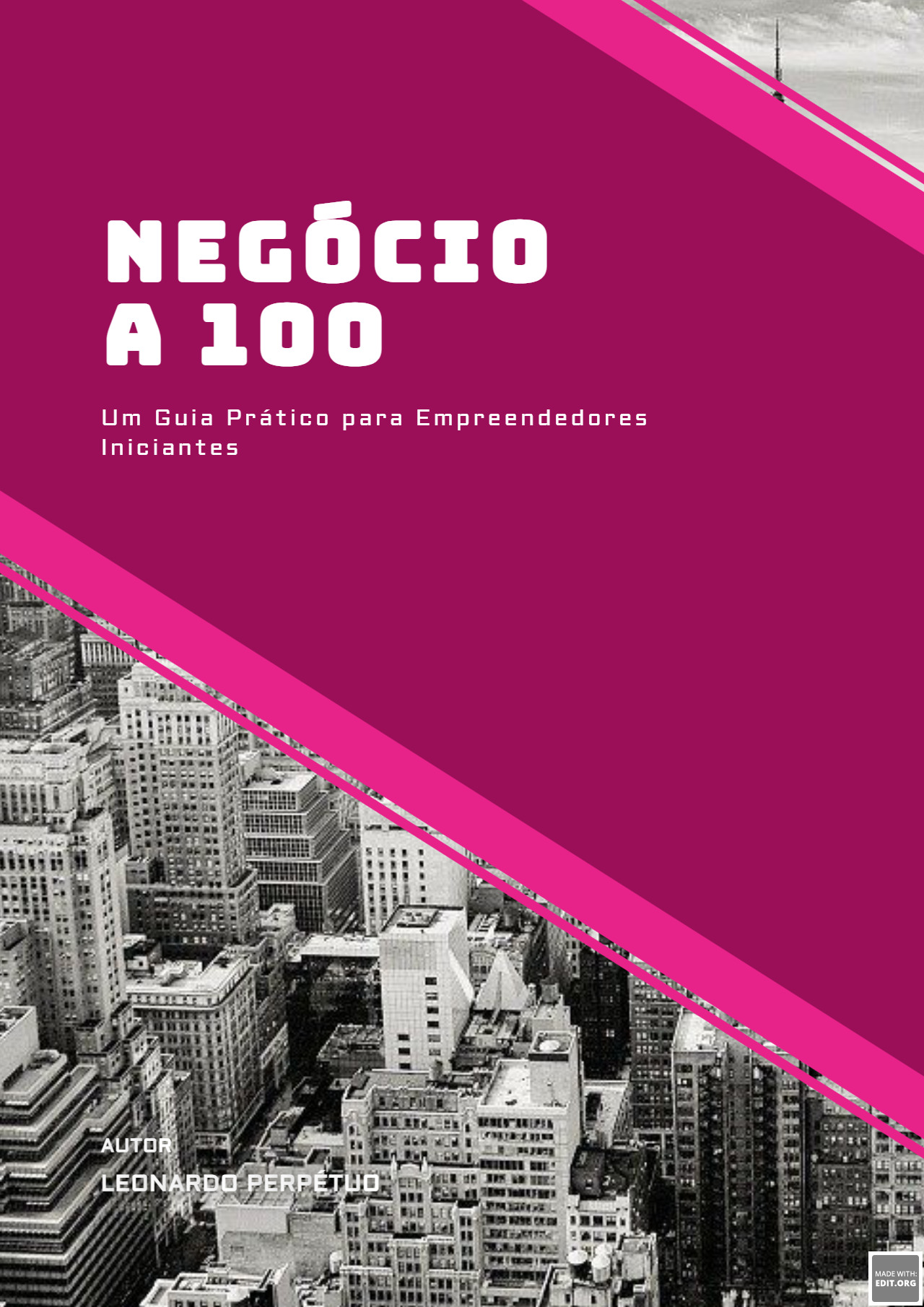 Iniciando Seu Próprio Negócio com 100 Reais