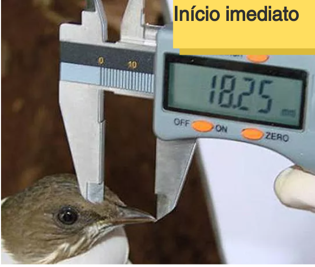 Curso Teórico e Prático sobre Técnicas de Levantamento e Monitoramento da Avifauna para Consultoria e Licenciamento Ambiental.