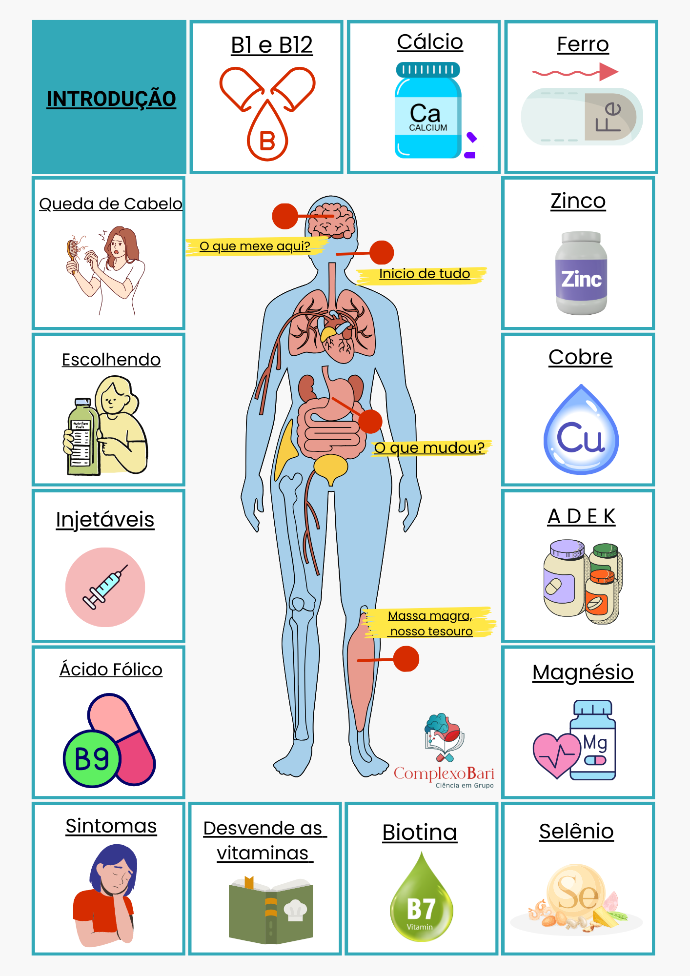 Guia rápido de vitaminas, minerais, manuais e exames - ComplexoBari...