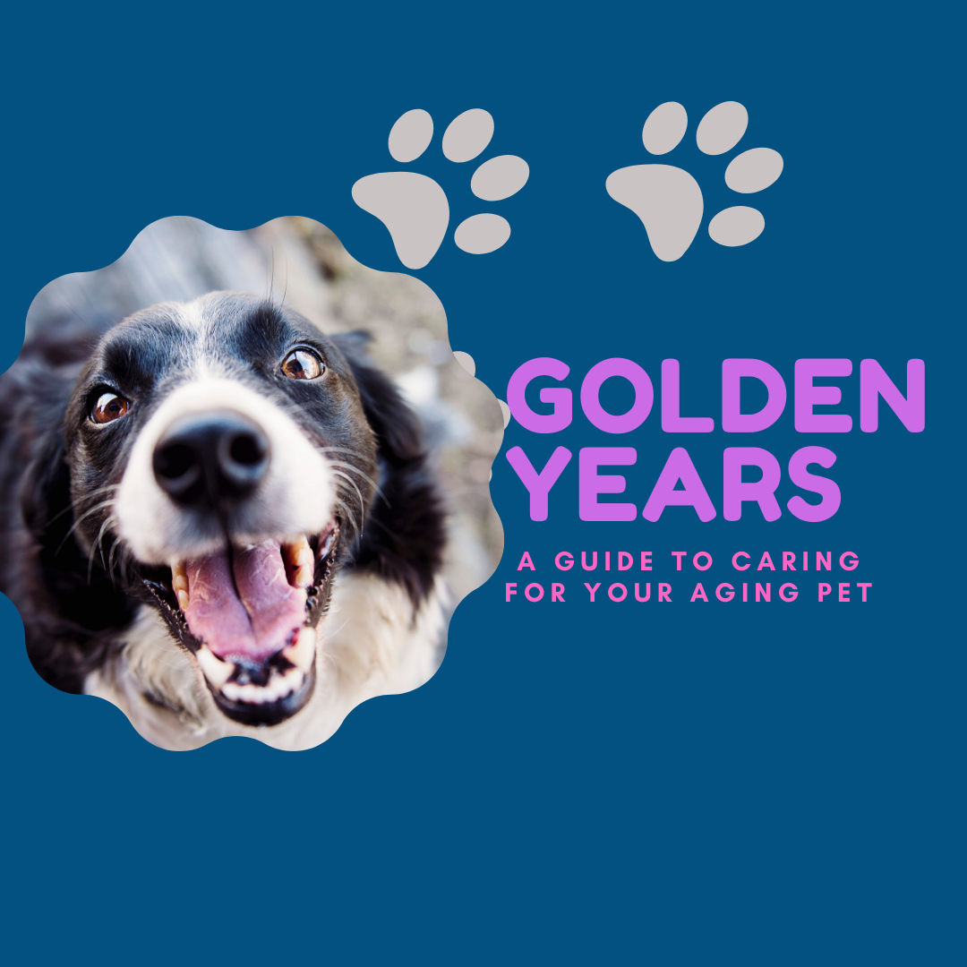 GOLDEN YEARS A GUIDE TO CARING FOR YOUR AGING PET