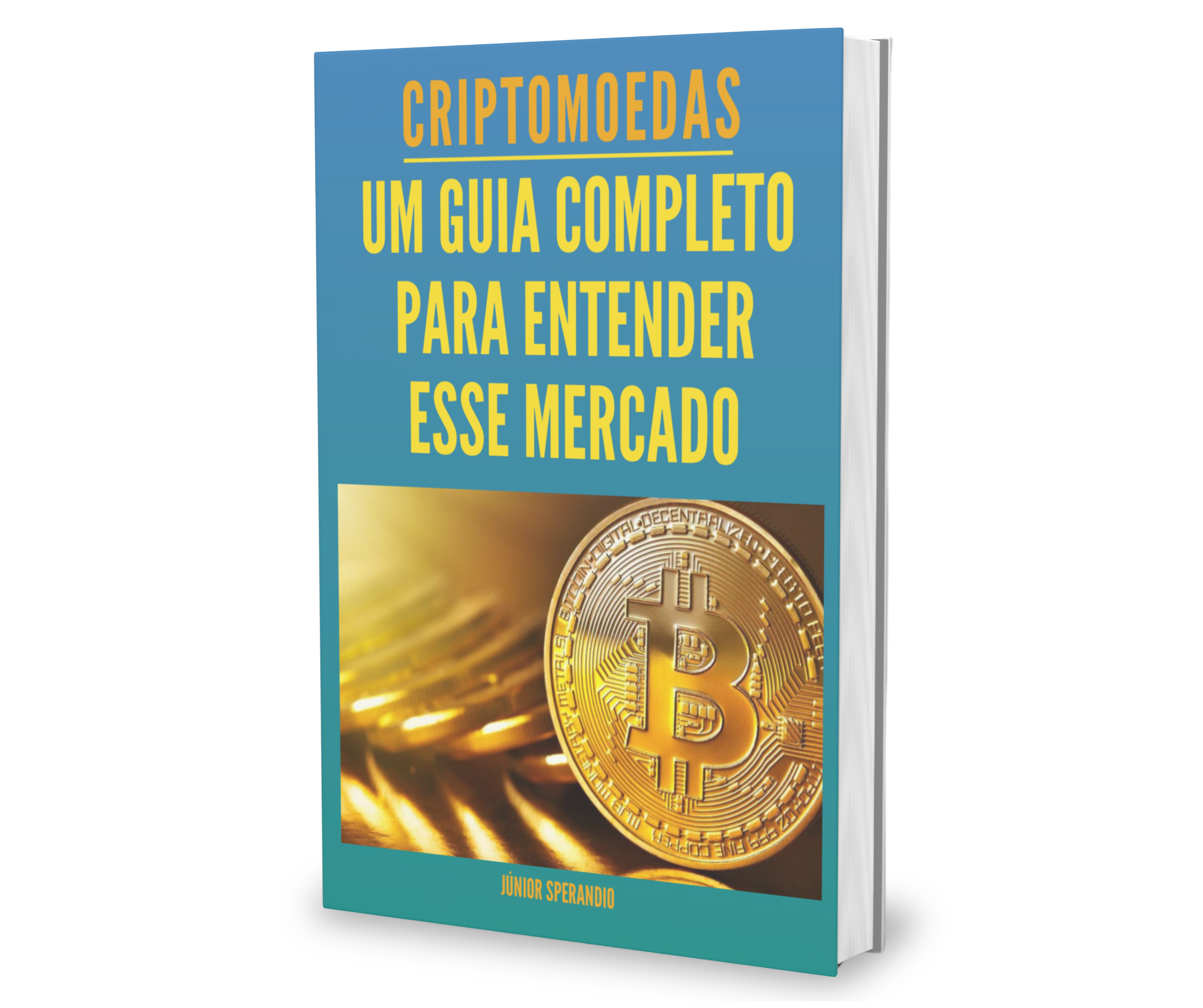 CRIPTOMOEDAS-UM GUIA COMPLETO PARA ENTENDER ESSE MERCADO!