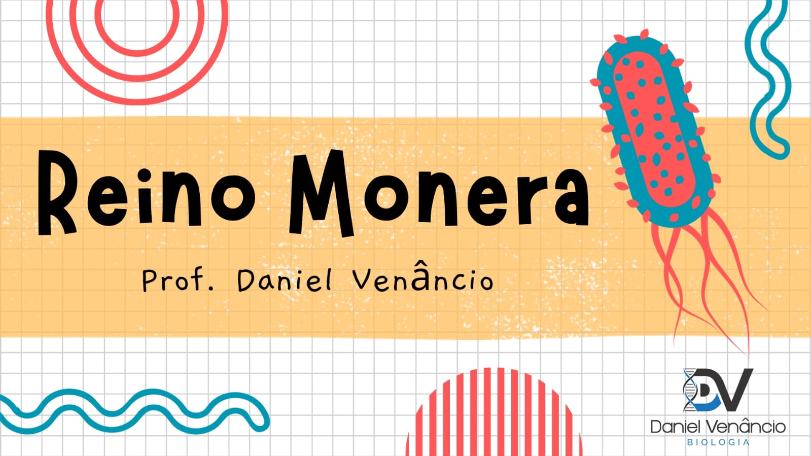 Resumo Sobre o Reino Monera