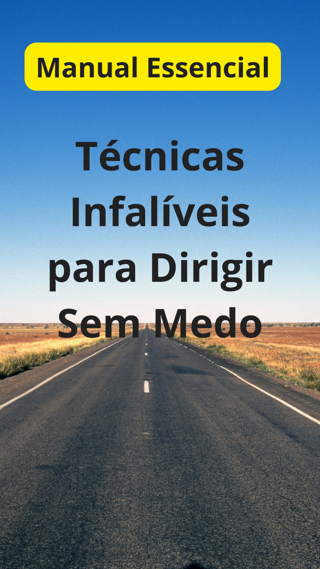 Manual essencial- técnicas infalíveis para dirigir sem medo - Will...