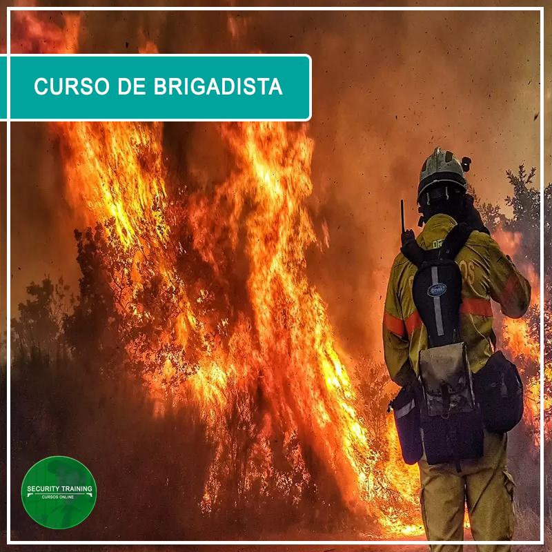 CURSO BRIGADISTA - Security Training | Hotmart
