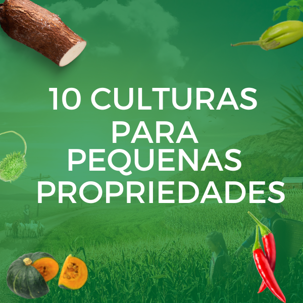 Imagem de capa para o Ebook 10 culturas ideais para pequenas propriedades