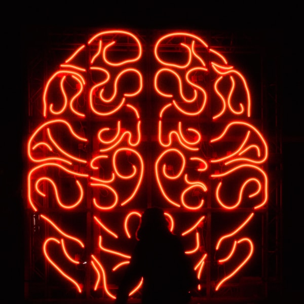 Neurobiologia do Trauma Feminino: Entendendo o Cérebro em Relações Abusivas