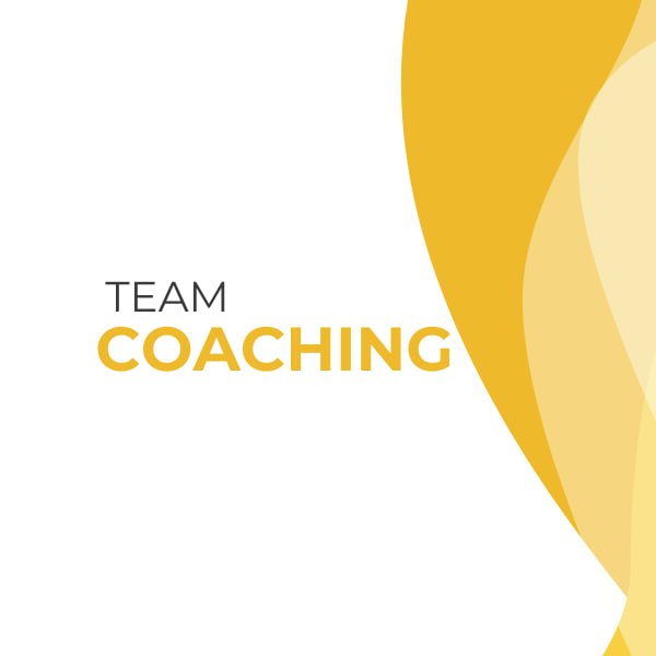 team-coaching