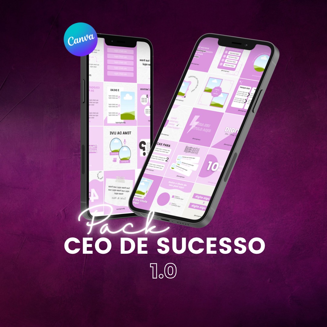 PACK CEO DE SUCESSO 1.0