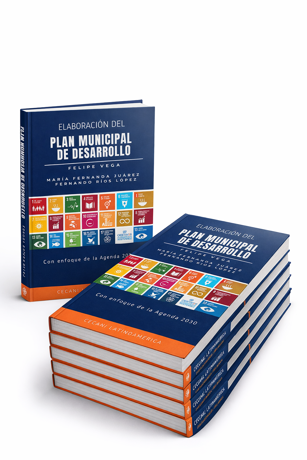 Elaboración del Plan Municipal de Desarrollo: Con enfoque de la Age...