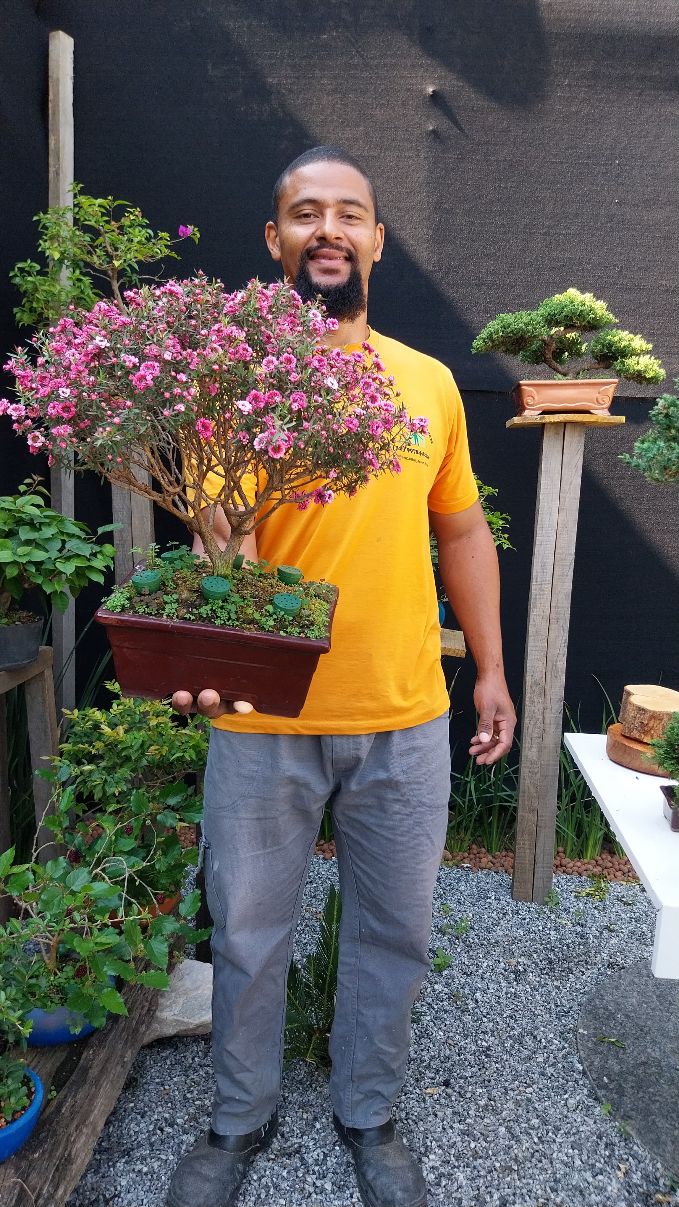 Curso de Bonsai para Iniciantes: A Arte Milenar para Equilibrar Corpo e Mente