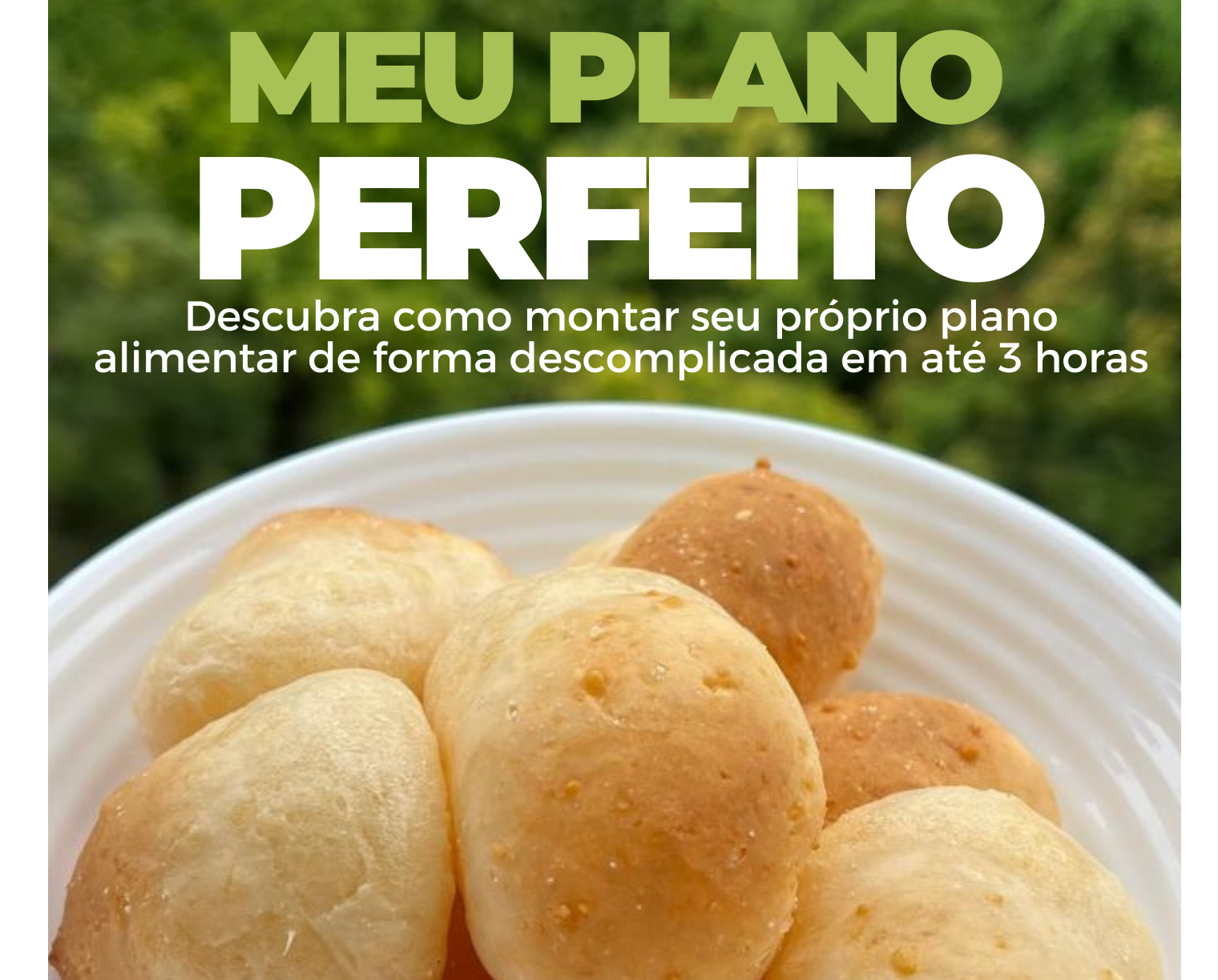 Meu Plano Perfeito - Revelando o Segredo da Dieta Perfeita
