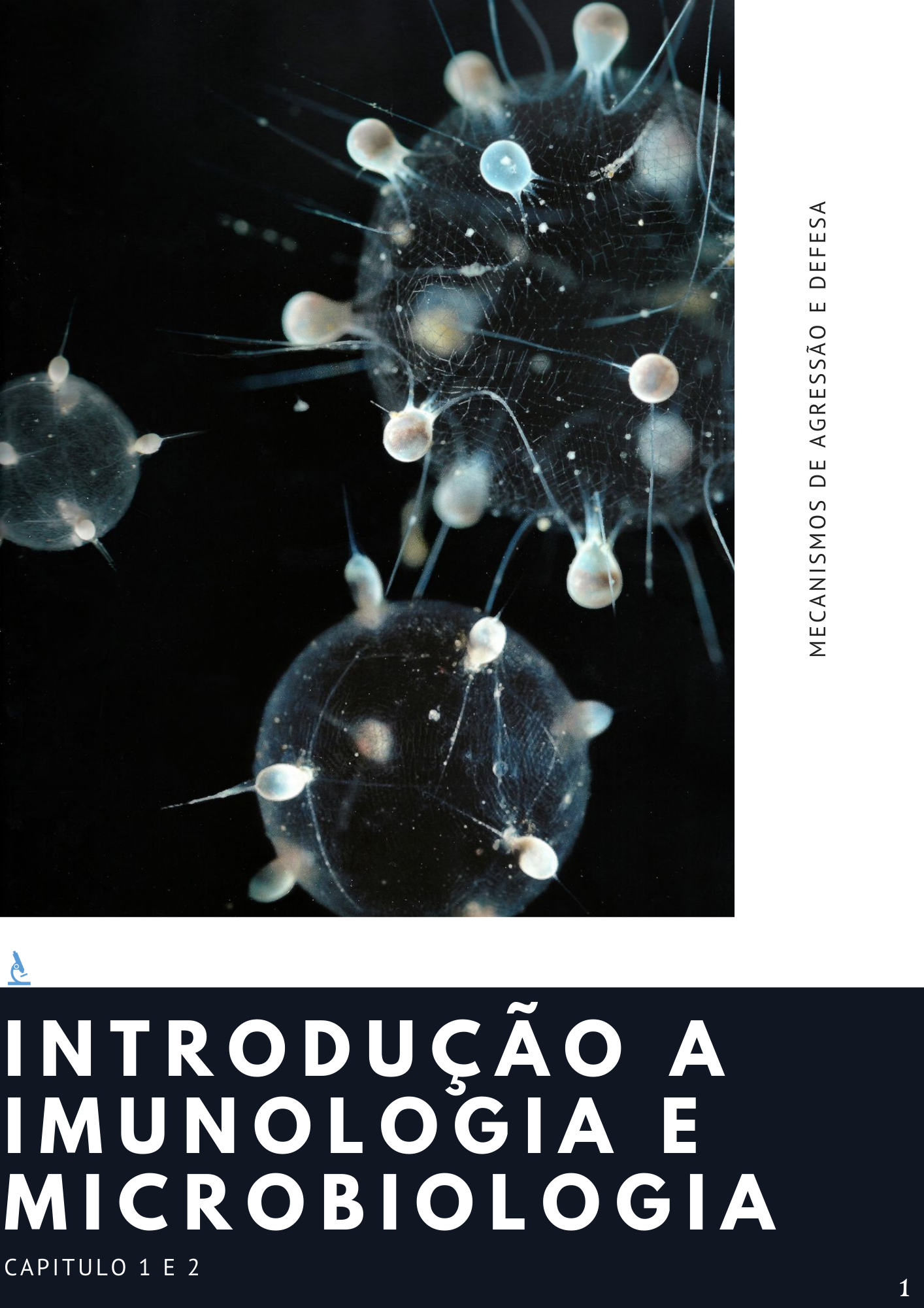 Resumos de imunologia e introdução bacteriana - Mateus Queirós Hola...