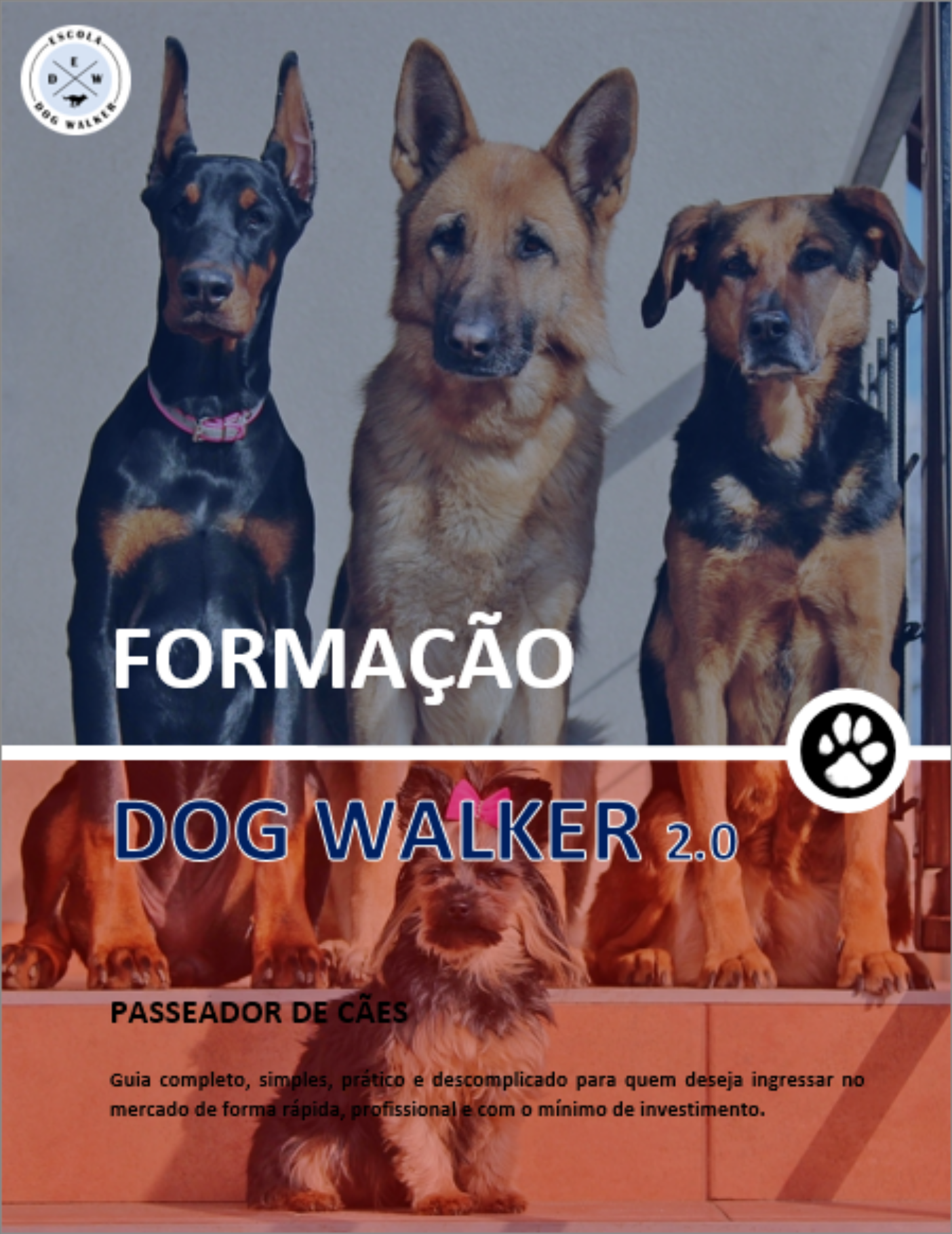 Escola Dog Walker Guia De Ouro Para Passeador De C es escola-dog-walker-guia-de-ouro-para-passeador-de-c-es