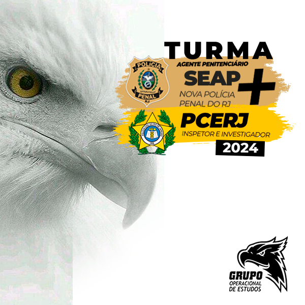 Turma Noite 2024 - Carreira Policial da PENAL-RJ/PCERJ