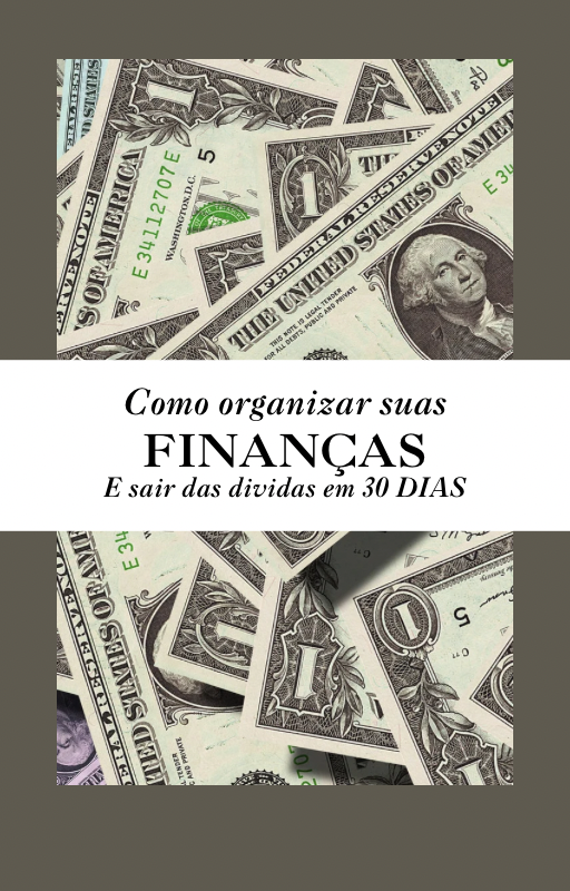 Como Organizar Suas Finanças e Sair das Dívidas em 30 Dias - vitori...