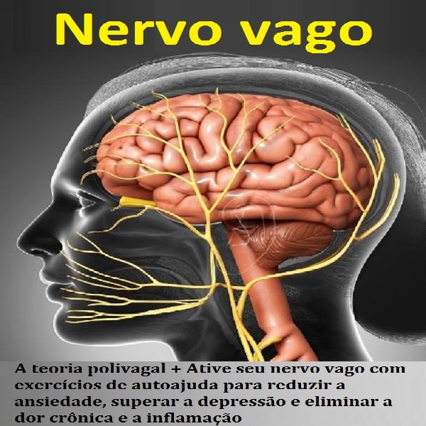 Nervo vago 2 livros em 1: A teoria polivagal + Ative seu nervo vago com exercícios de autoajuda para reduzir a ansiedade, superar a depressão e eliminar a dor crônica e a inflamação