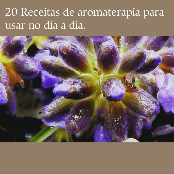 20 Receitas De Aromaterapia A Para Usar No Dia A Dia Sirlei Trugi 20 Receitas De Aromaterapia A Para Usar No Dia A Dia Sirlei Trugi