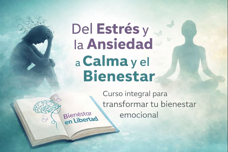 Como transformar el estrés y ansiedad en calma y bienestar - Karen ...