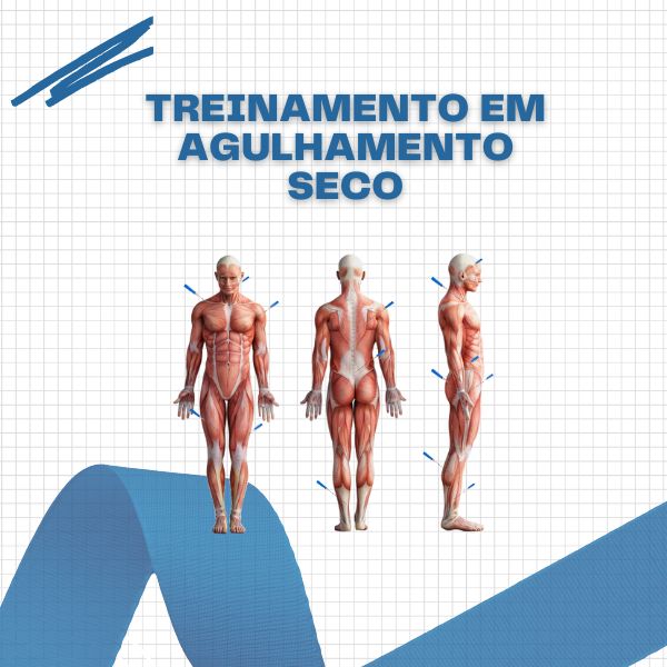 Ebook - Agulhamento Seco um guia prático - Lidiane Caldeira | Hotmart