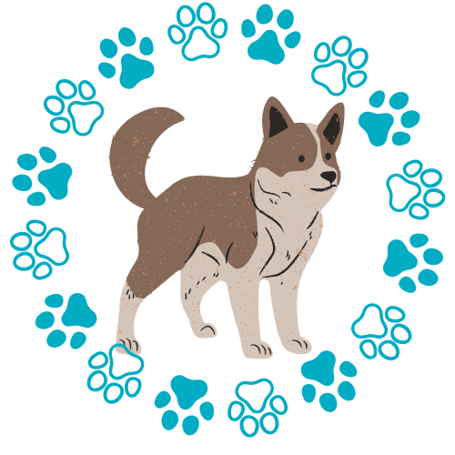 OBDC Dog Training MS BUSINESS Hotmart