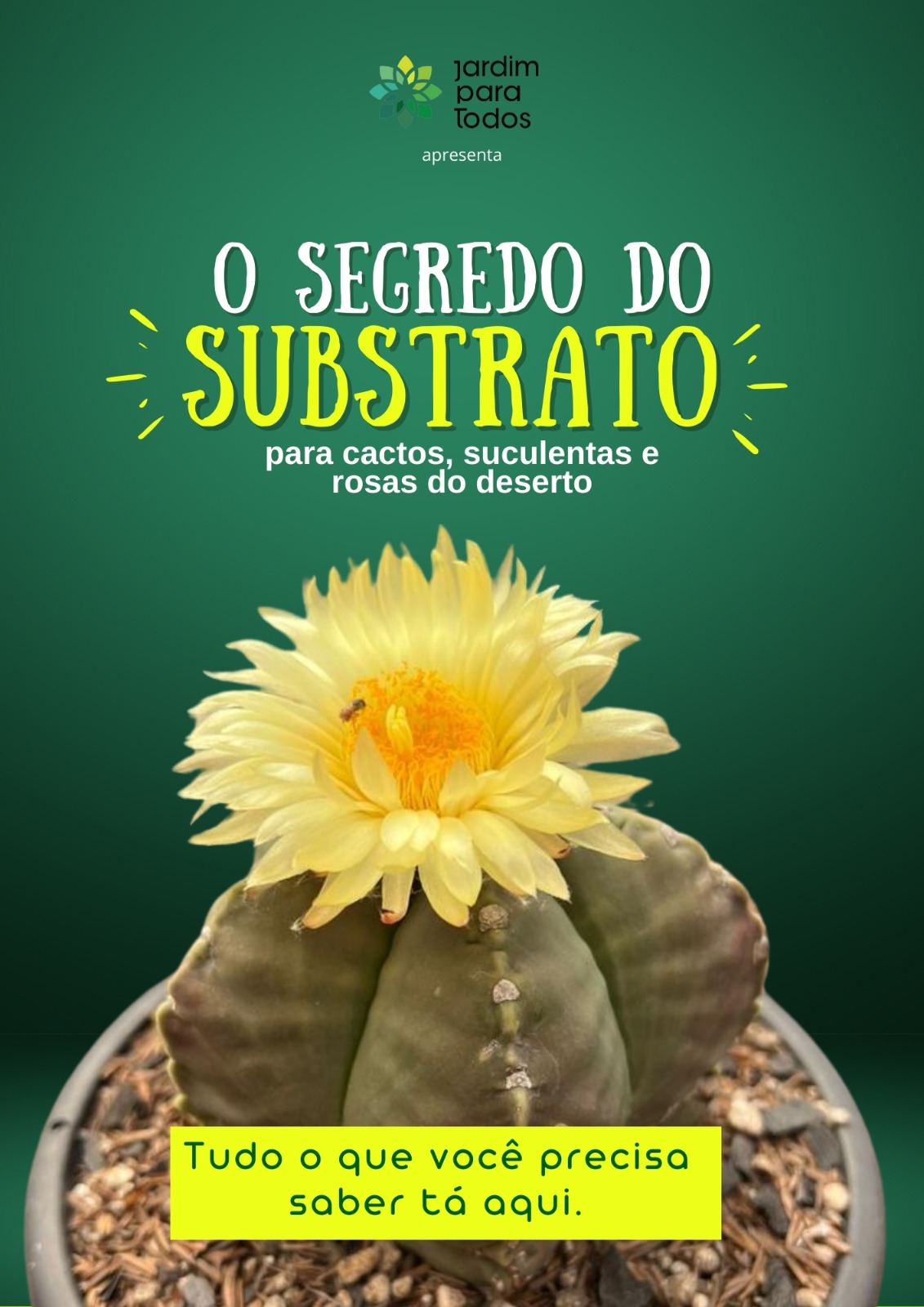 O Segredo Do Substrato o-segredo-do-substrato