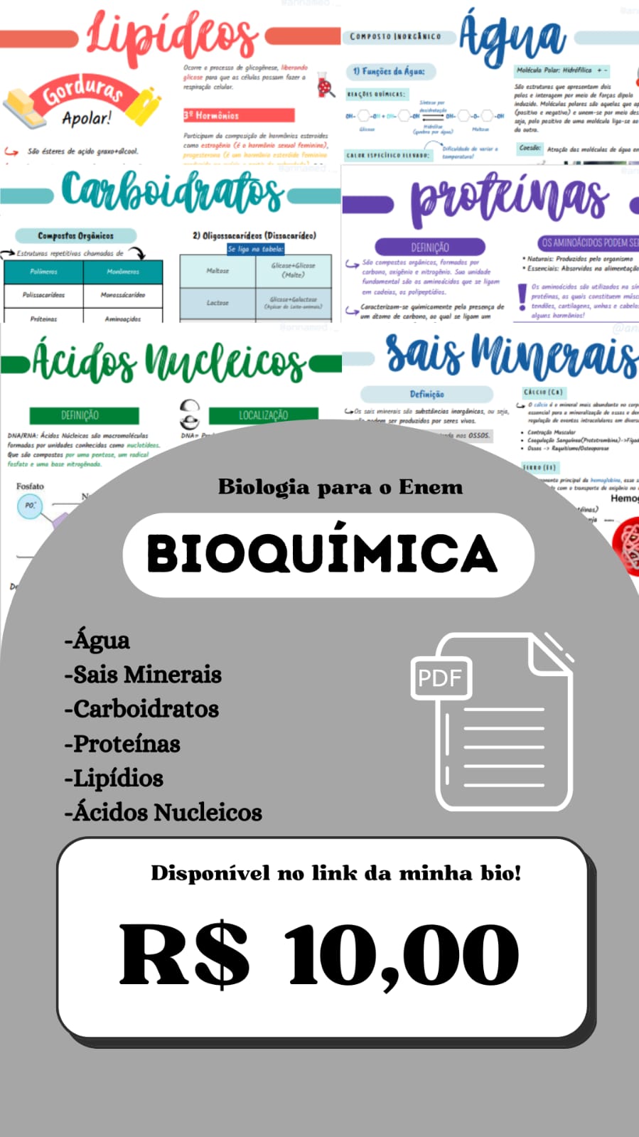 Caderno|Bioquímica Completa para Enem & Vestibulares - Anna Clara D...