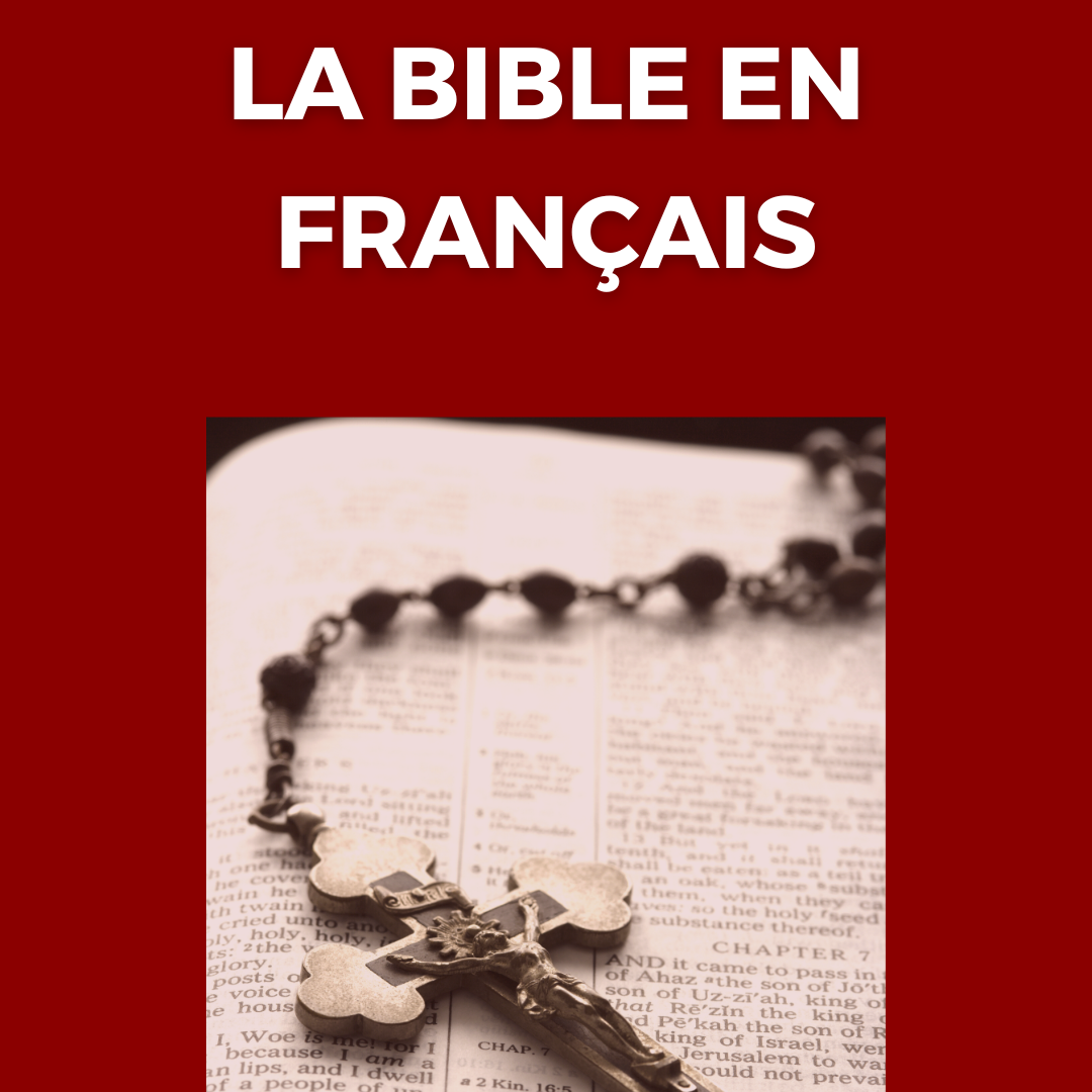Image de couverture pour le Ebook La Bible en Français Facile